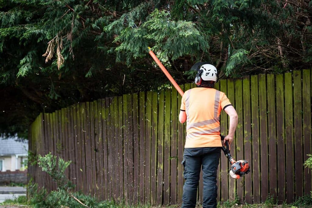 Tree Felling & Pruning